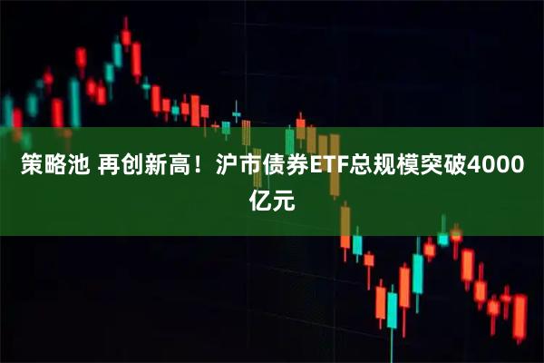 策略池 再创新高！沪市债券ETF总规模突破4000亿元
